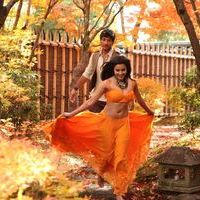 Priya Anand Hot Vai Raja Vai Movie Stills | Picture 900685